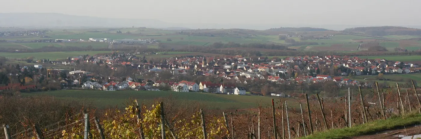 Abstatt , von unterhalb der Burg Wildeck gesehen