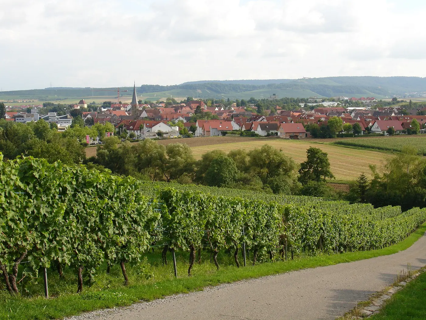 Die Stadt Brackenheim . Ziemlich genau nach Süden (~190°) fotografiert.