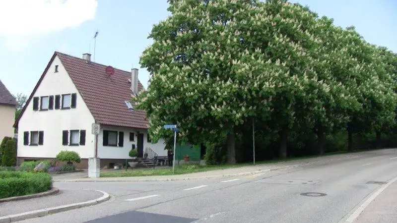 Ansicht von Büchig