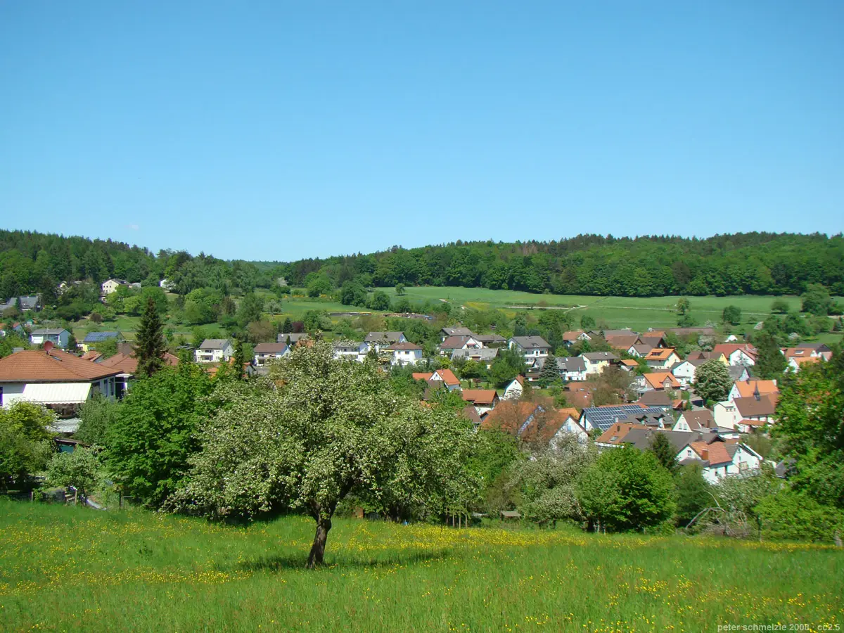 Blick über Neckarsteinach-Darsberg