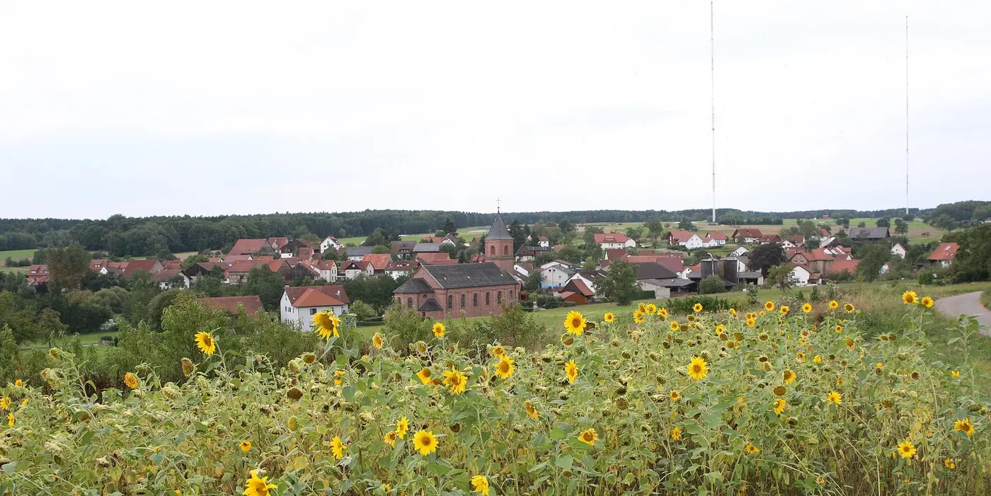 Blick auf Donebach, rechts im Hintergrund die Sendemasten