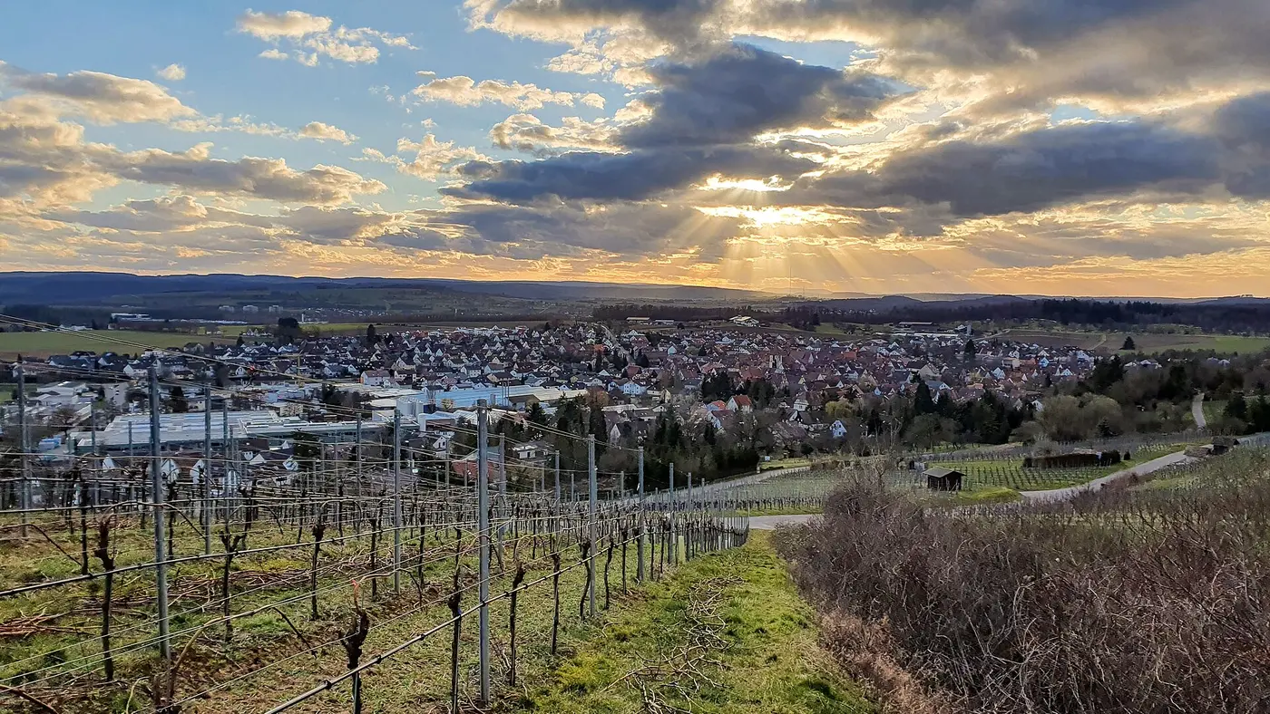 Ansicht von Ensingen