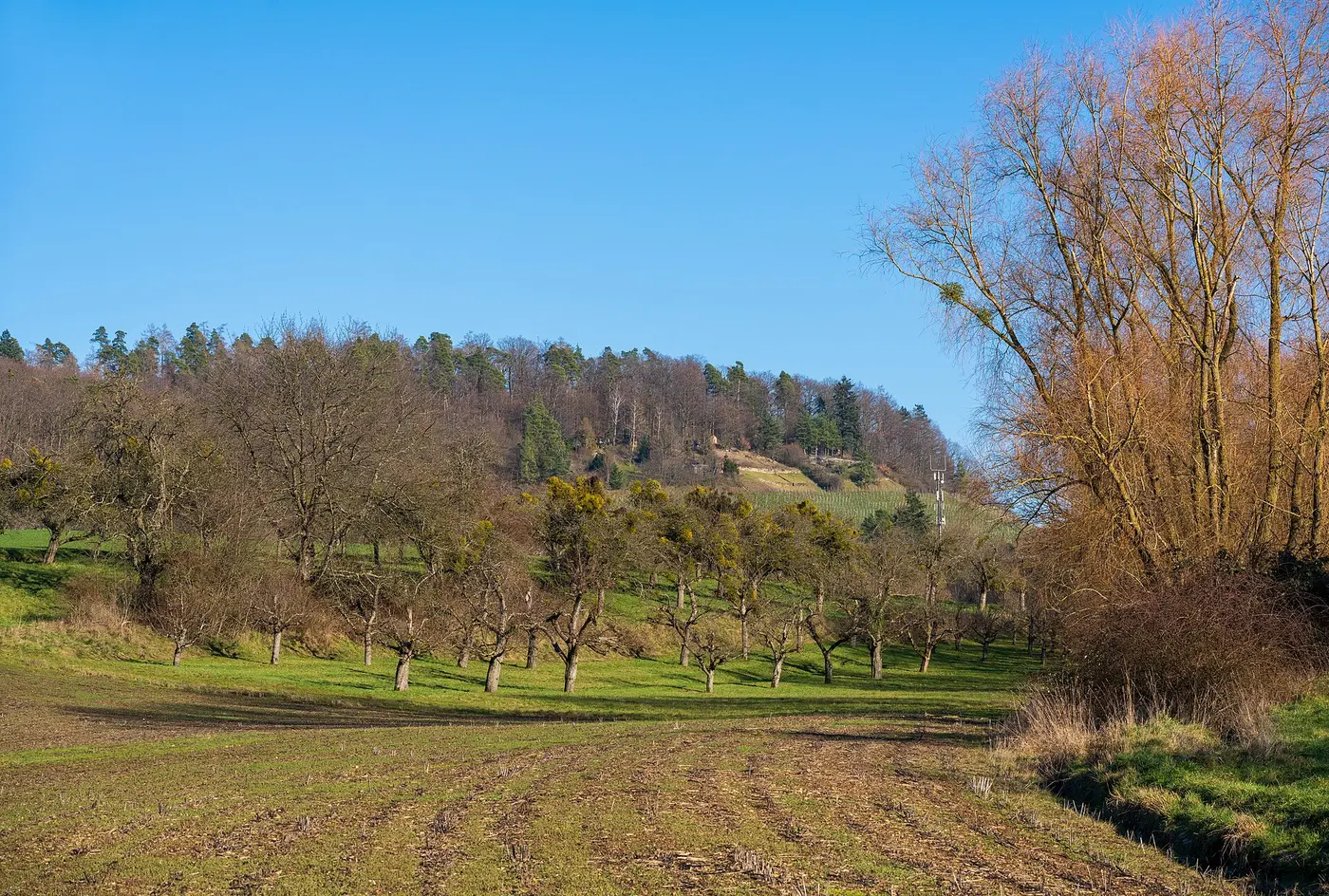Ansicht von Gronau