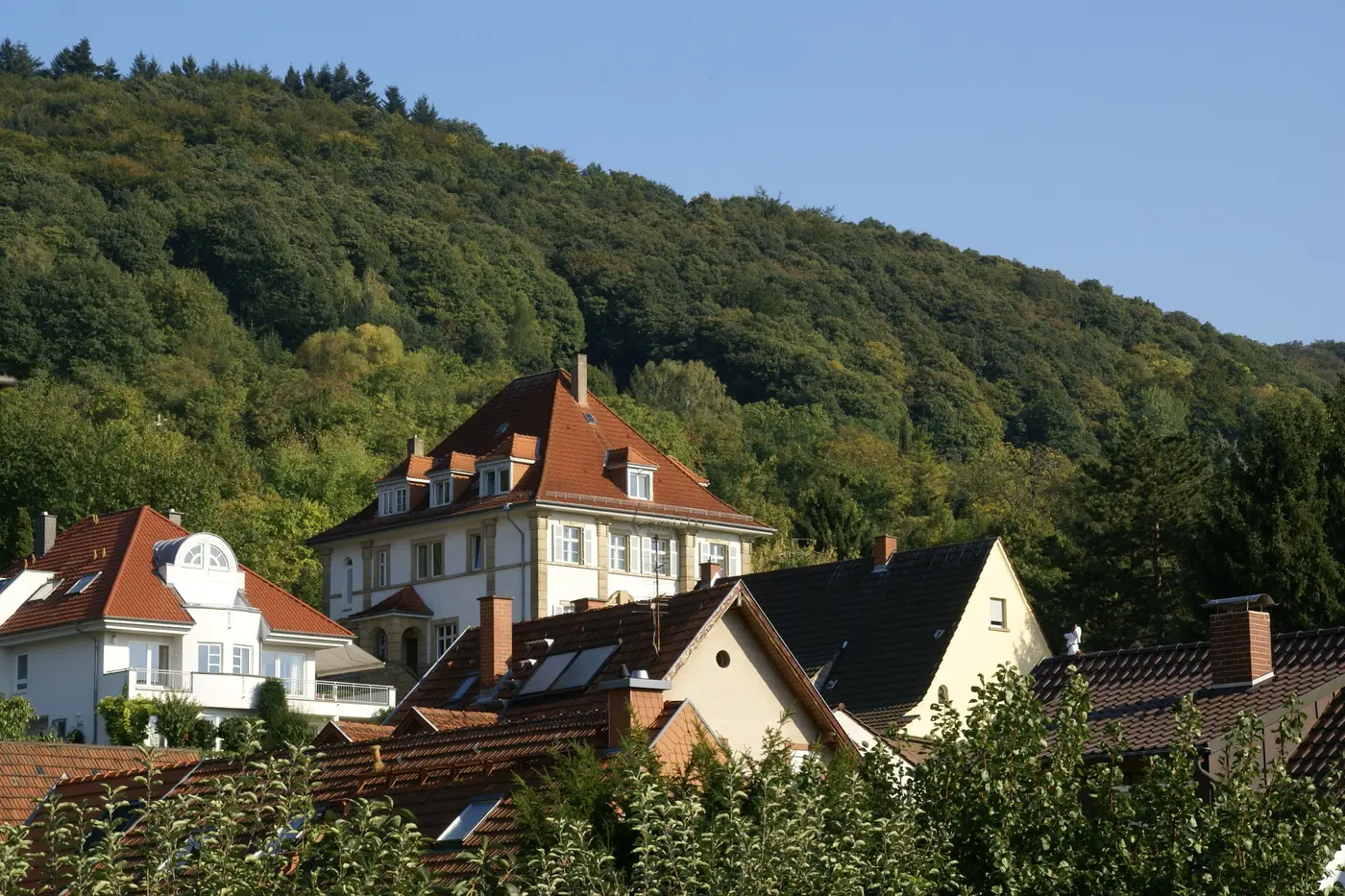 Ansicht von Handschuhsheim