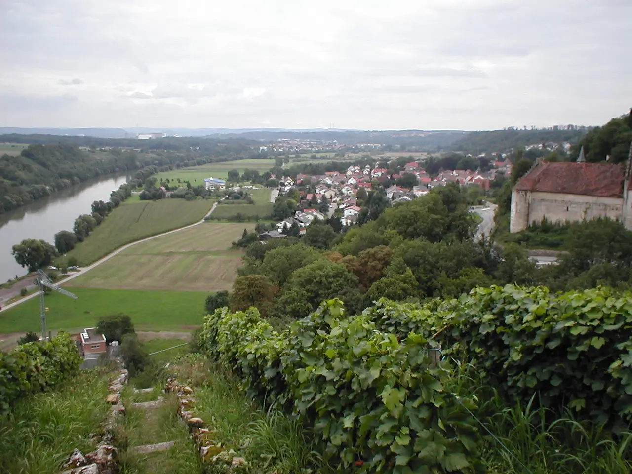 Heinsheim am Neckar mit Burg Ehrenberg