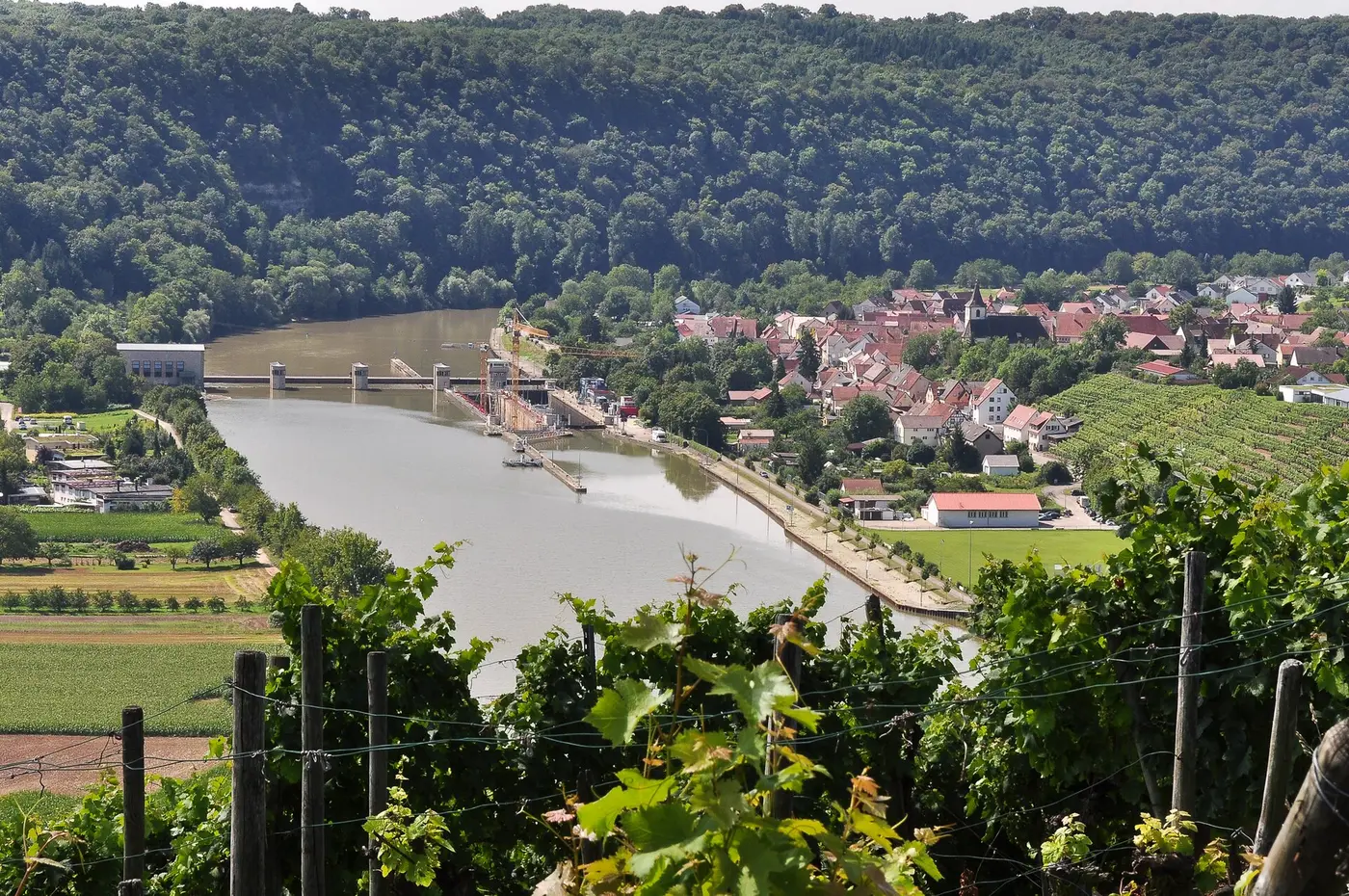 Ungefähr 500m hinter der Staustufe beginnt das Naturschutzgebiet Neckarhalde, welches sich ca. 2km am Ufer …