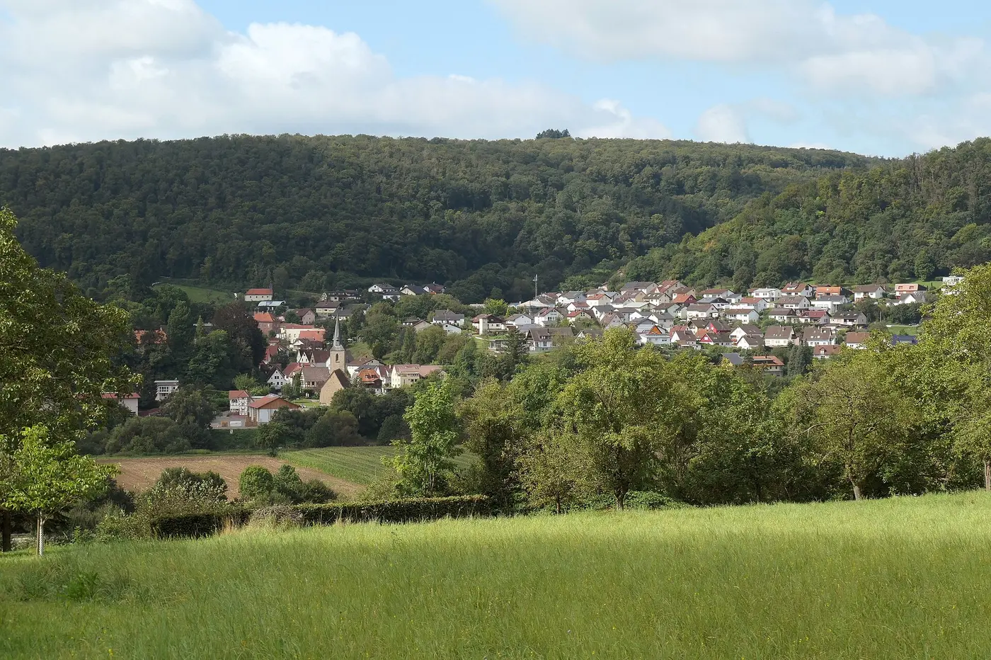 Blick vom Naturschutzgebiet Auweinberge-Fuchsenloch auf Hochhausen (Haßmersheim), dahinter das FFH-Gebiet …