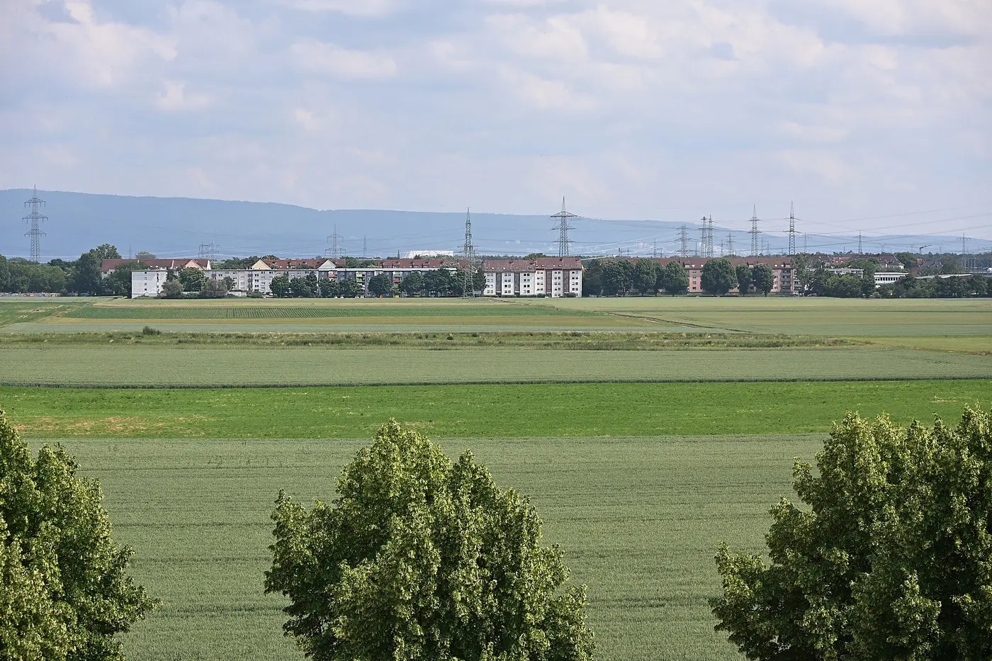 Mannheim-Hochstätt, von der SAP-Arena aus gesehen, etwa 1,4 km über das Kloppenheimer Feld zum Stadtteil.