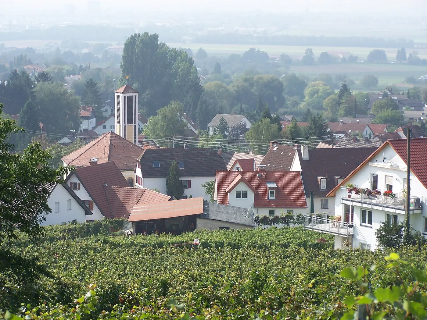 Blick auf Kirche in Hohensachsen