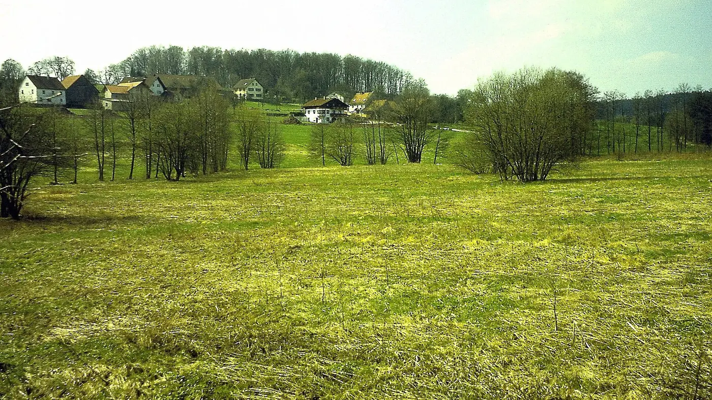 Langenelz, Gemeinde Mudau: oberes Elztal in Ober-Langenelz, ca. 440 m ü. NN, Blick nach Südwesten, …