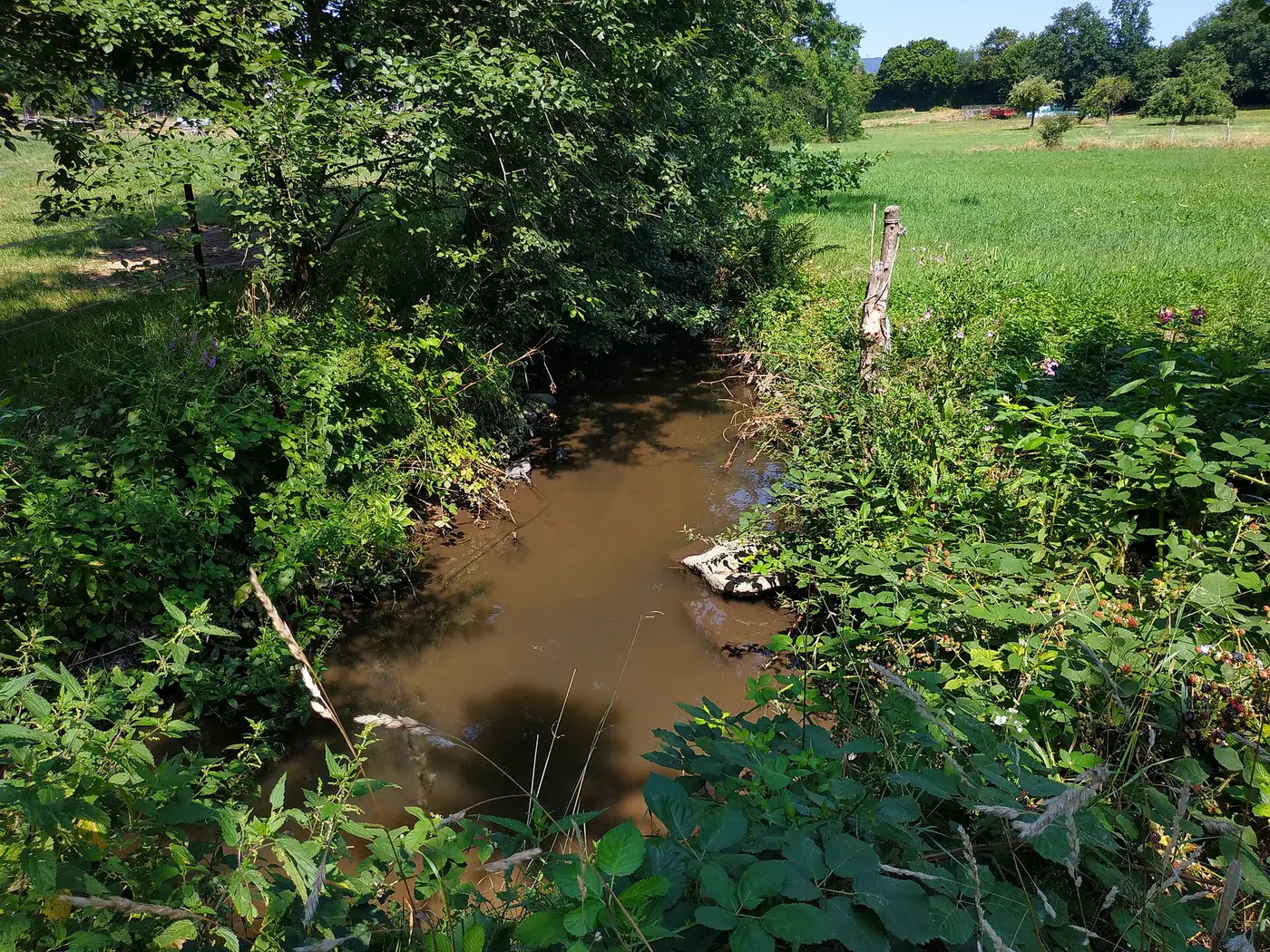 Lörzenbach, Blick in die Lörzenbach