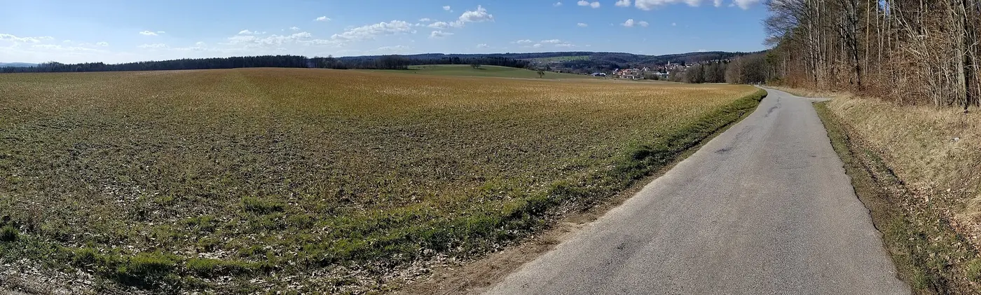 Gemarkung Muckental (zu Gemeinde Elztal, Neckar-Odenwald-Kreis): Trienzer Gewann, Blick nach Nordosten, im …
