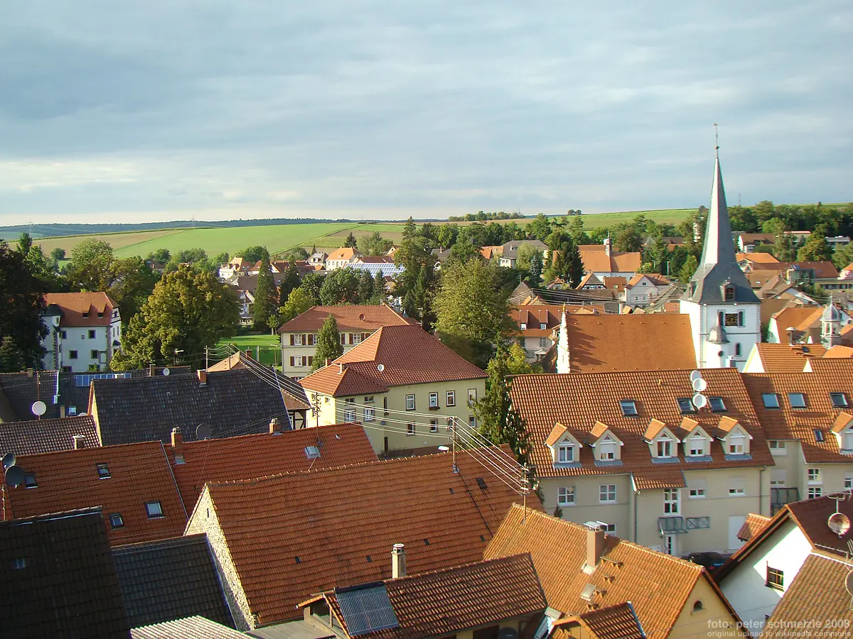 Blick über die hist. Ortsmitte von Neckarbischofsheim