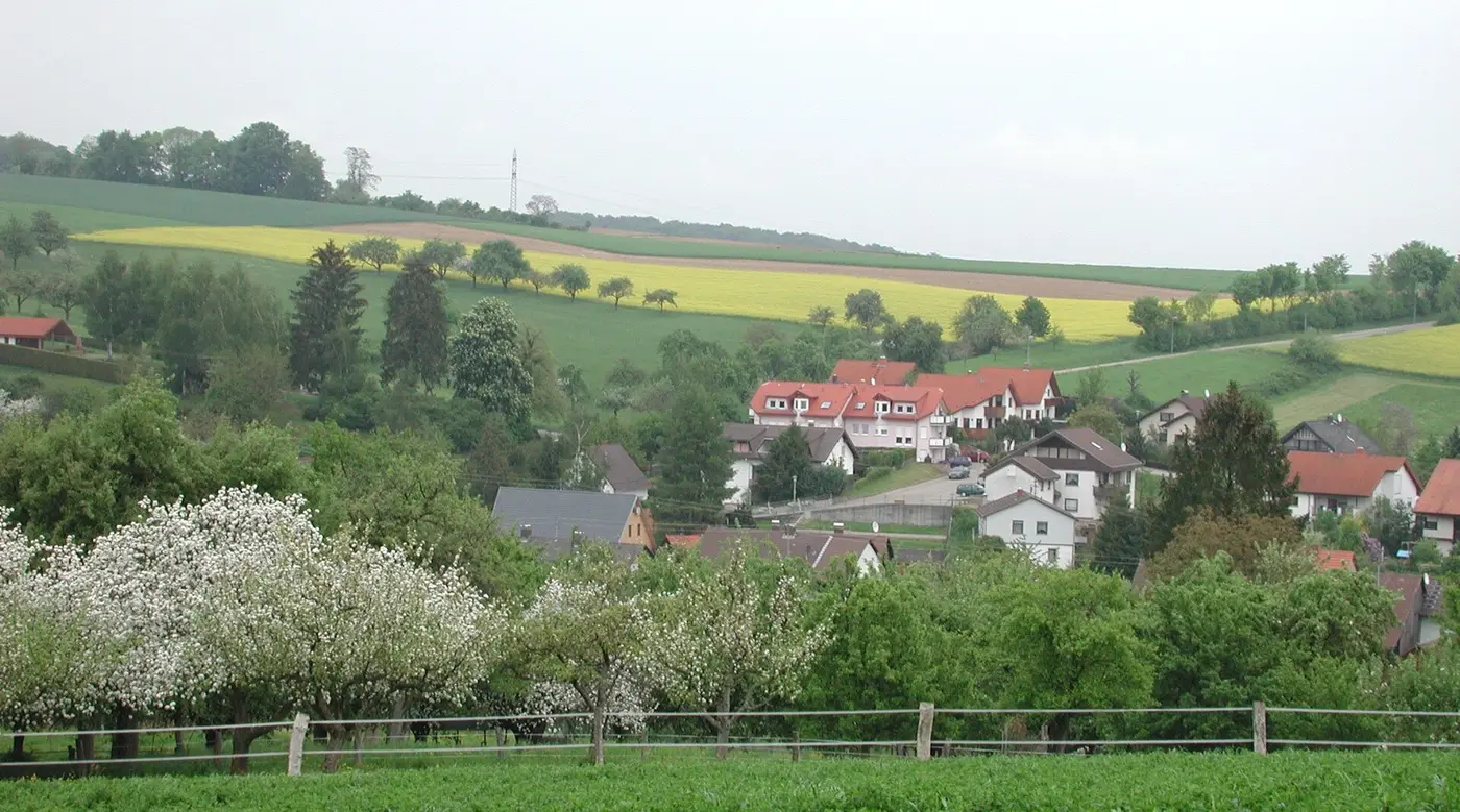Blick auf Ochsenbach, Obstbaumblüte