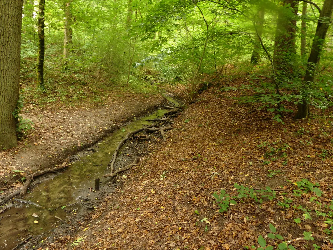 Krummbach bei der Schwefelquelle Östringen
