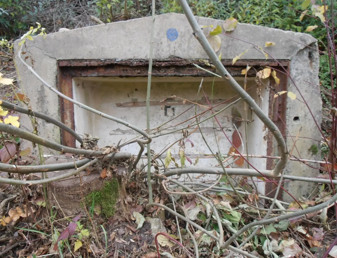 Ansicht von Plattenwald