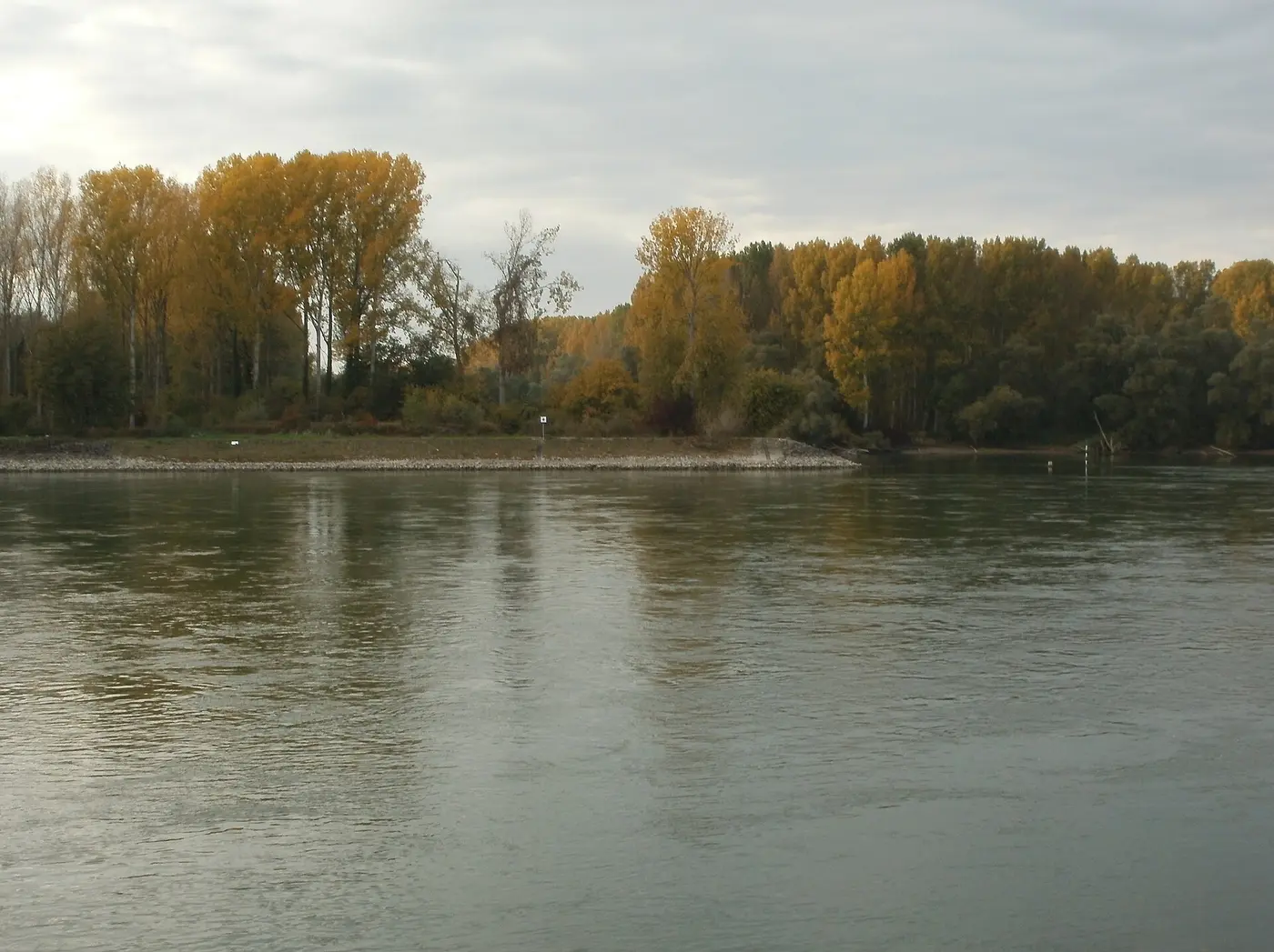 Rhein bei Rheinsheim
