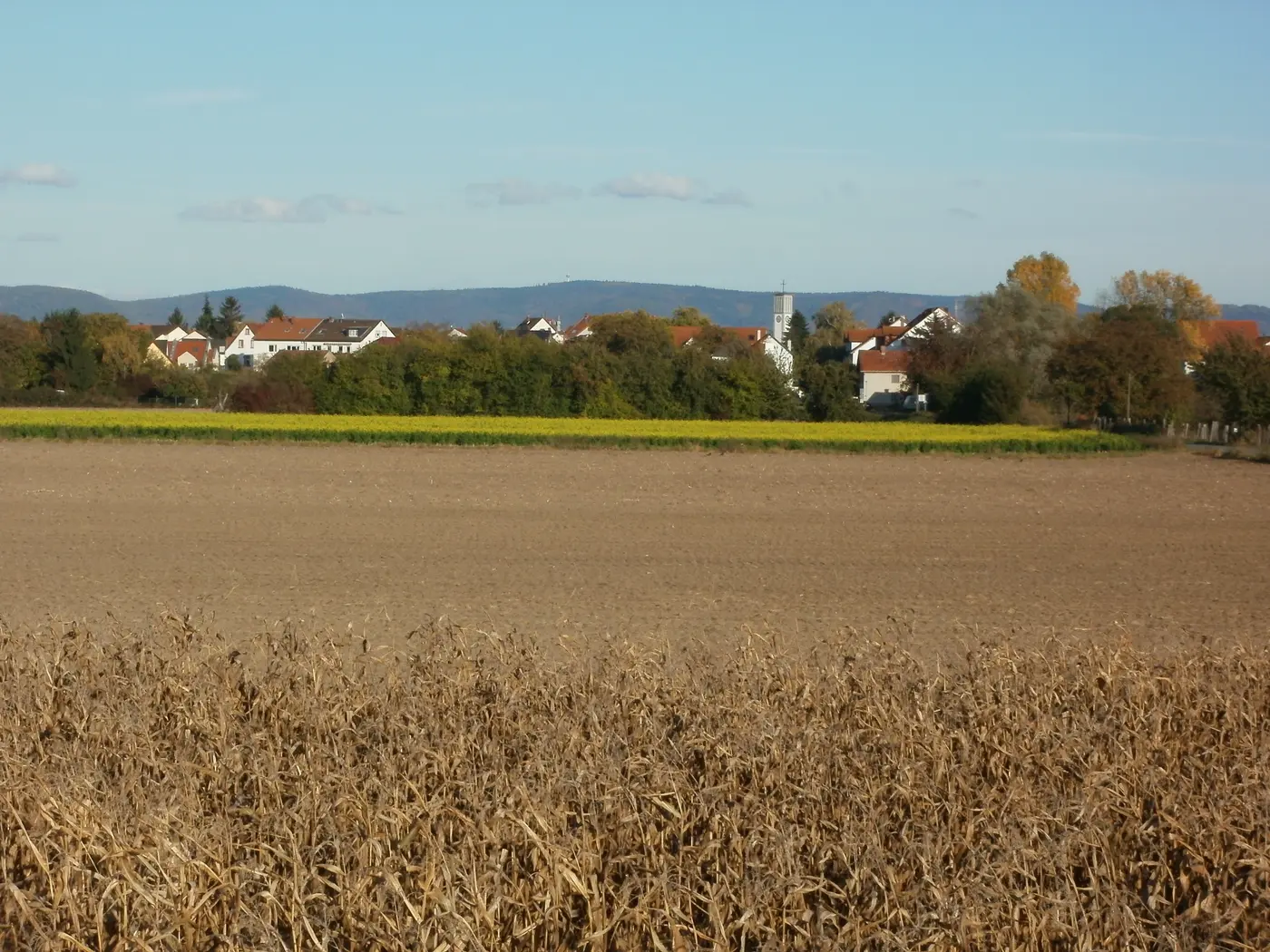 Felder vor Brühl-Rohrhof