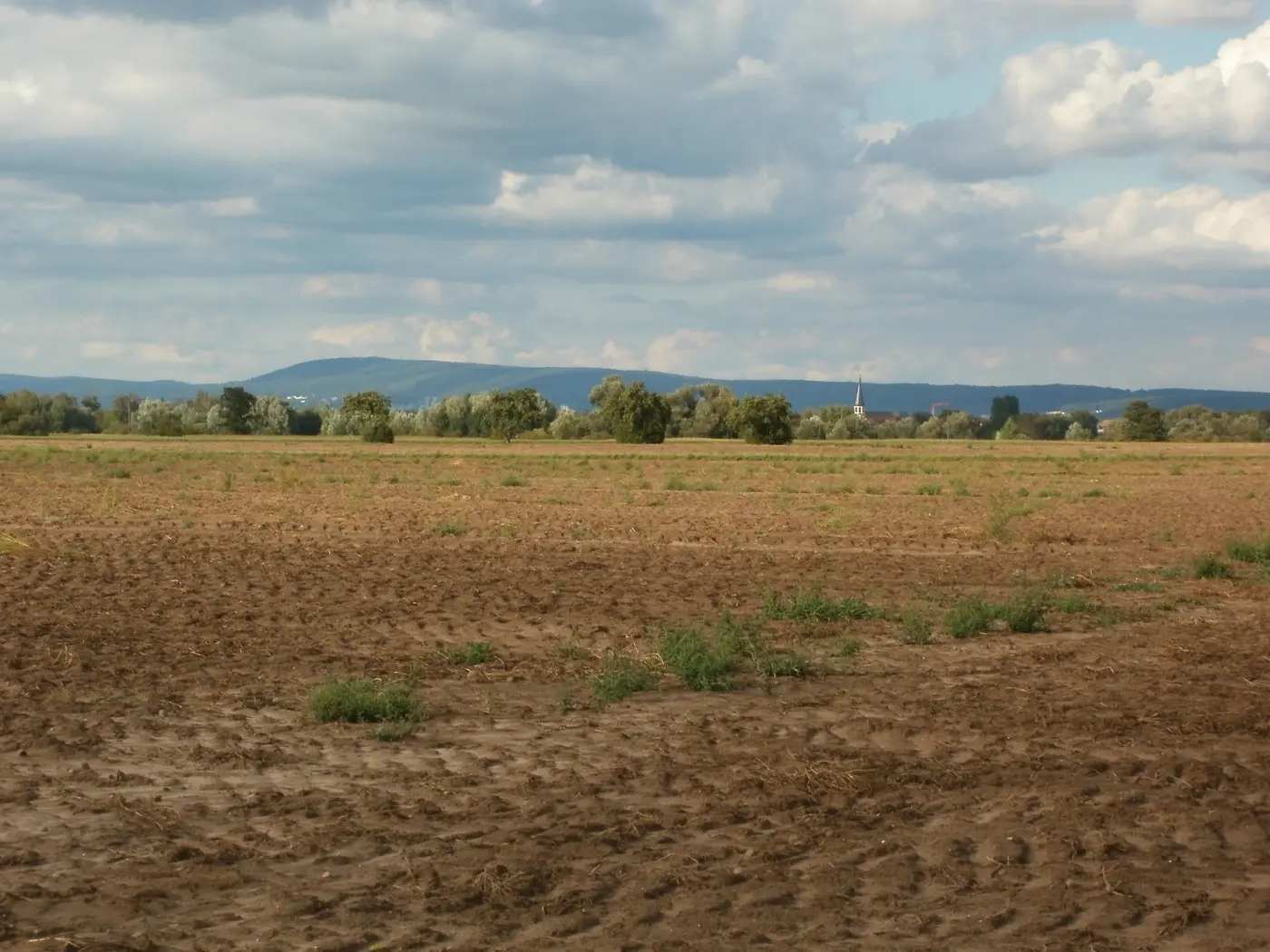 Blick auf Rot mit Königstuhl