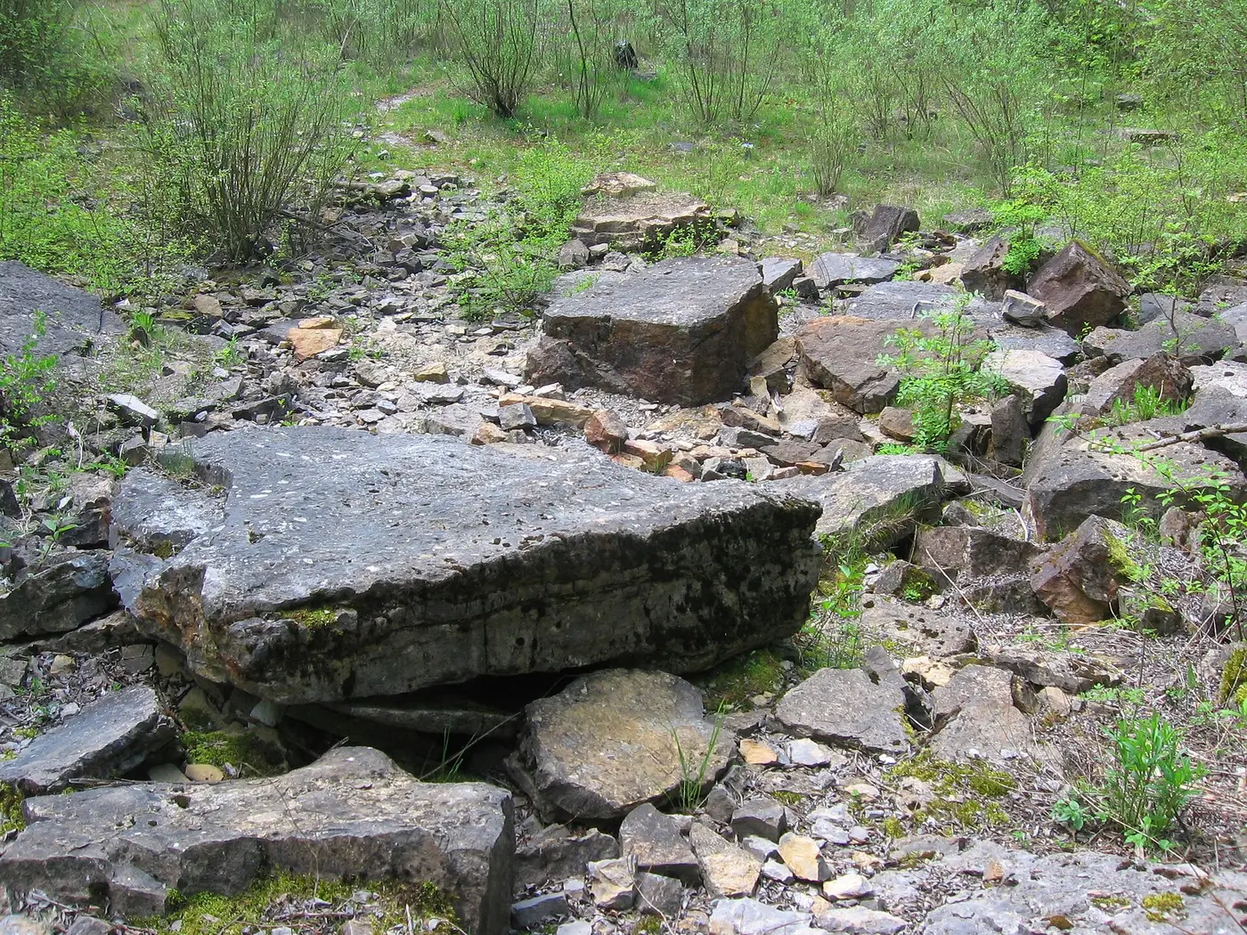 Muschelkalksteinbruch bei Schatthausen, Rhein-Neckar-Kreis.