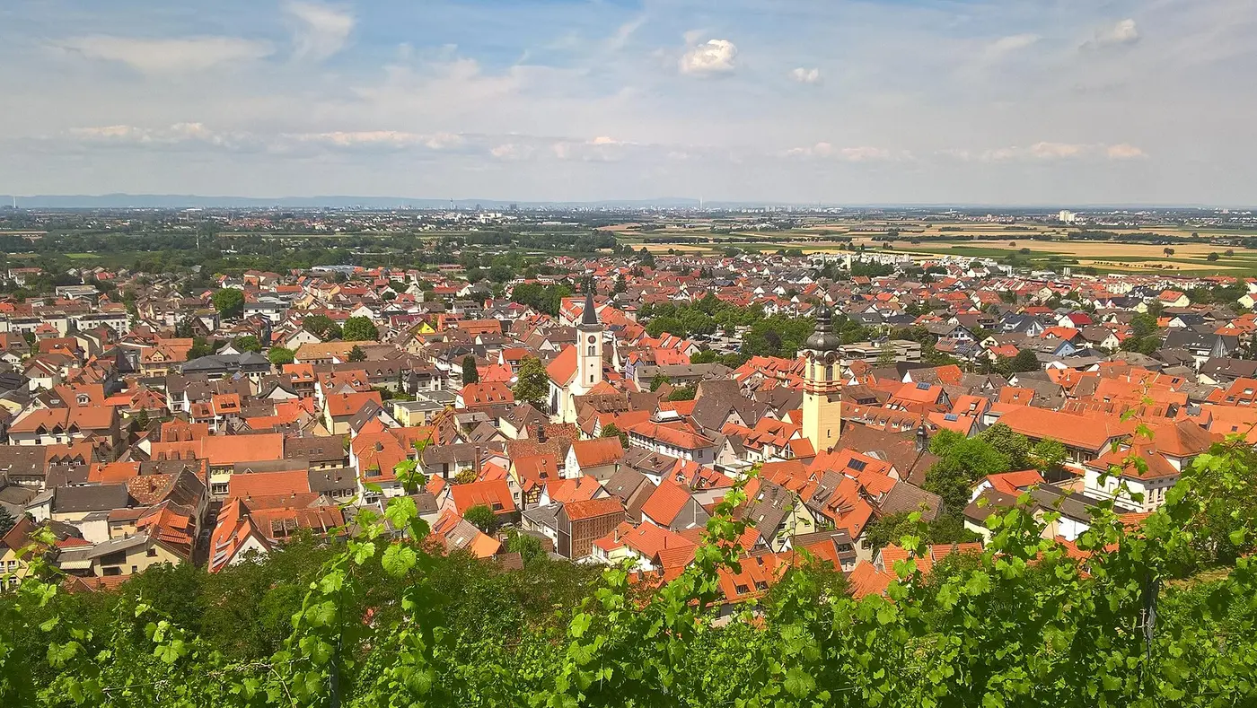 Blick auf Schriesheim