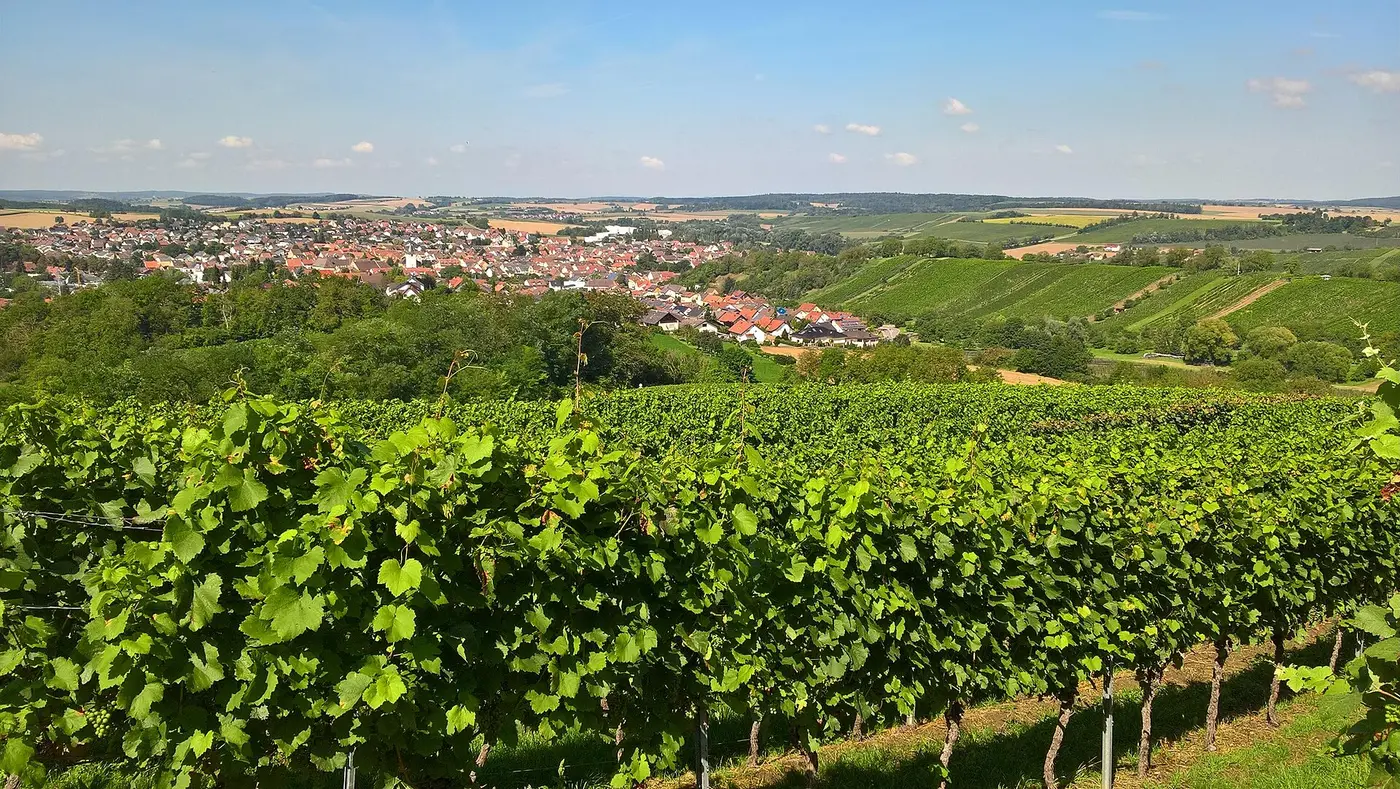 Ansicht von Sulzfeld