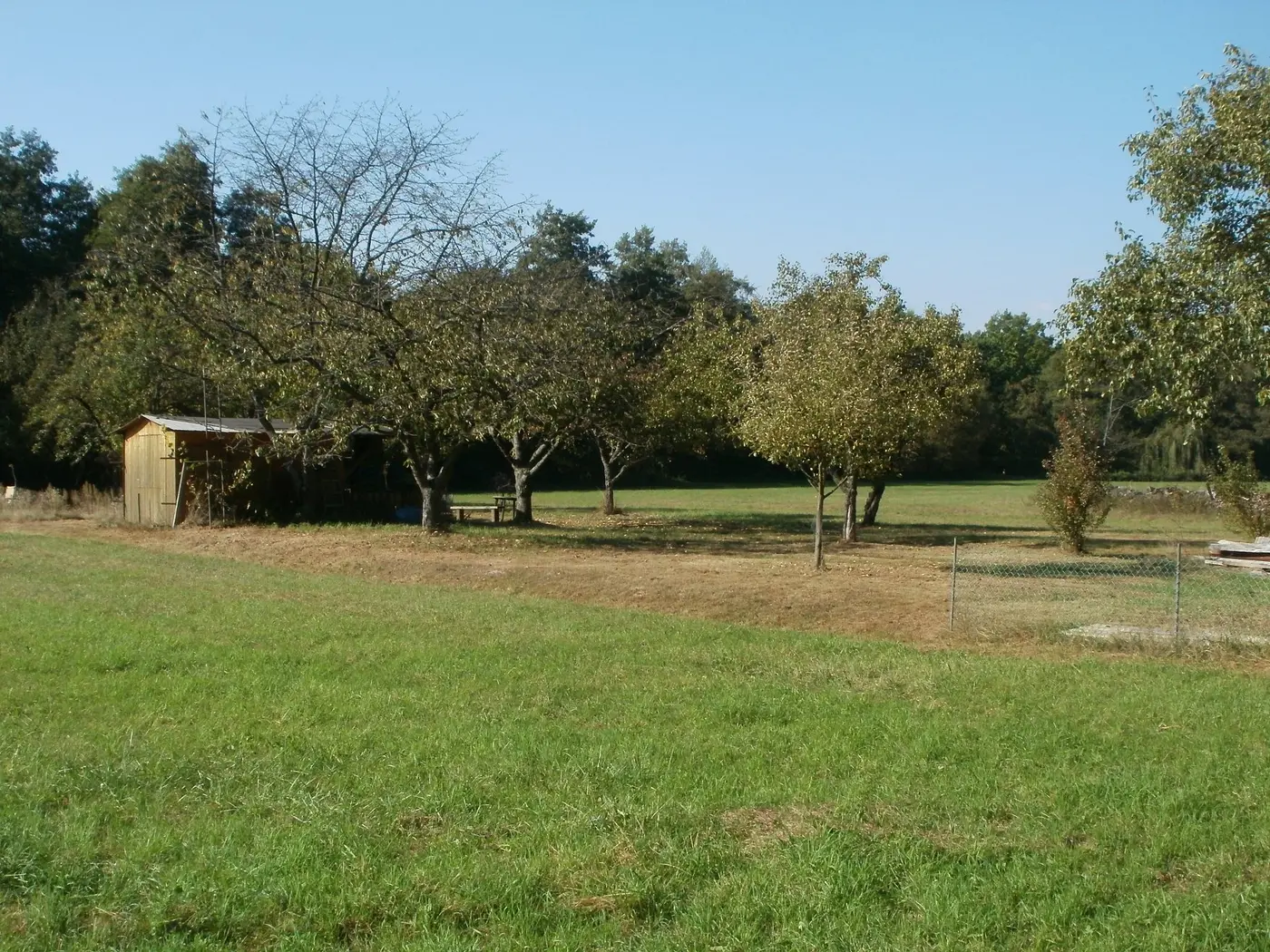 Streuobstwiese am Wagbach bei Wiesental
